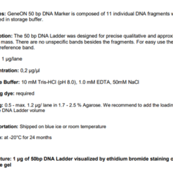 DNA Ladder 50 bp (no dye)