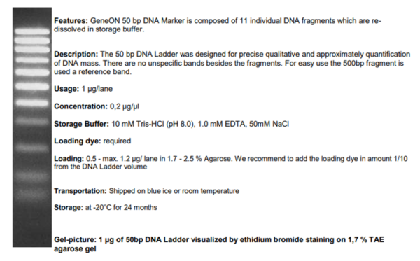DNA Ladder 50 bp (no dye)